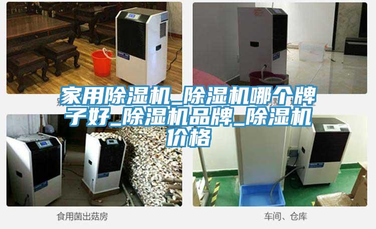 家用香蕉视频国产_香蕉视频国产哪個牌子好_香蕉视频国产品牌_香蕉视频国产價格