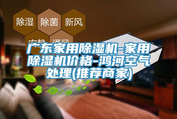 廣東家用香蕉视频国产-家用香蕉视频国产價格-鴻河空氣處理(推薦商家)