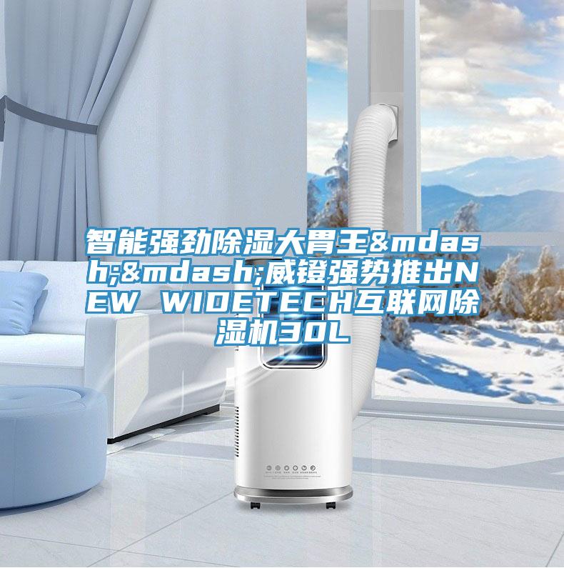 智能強勁除濕大胃王——威鐙強勢推出NEW WIDETECH互聯網香蕉视频国产30L