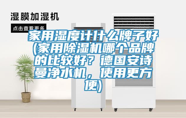 家用濕度計什麽牌子好(家用香蕉视频国产哪個品牌的比較好？德國大香蕉性爱网淨水機，使用更方便)