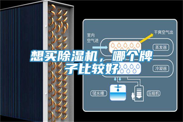想買香蕉视频国产，哪個牌子比較好