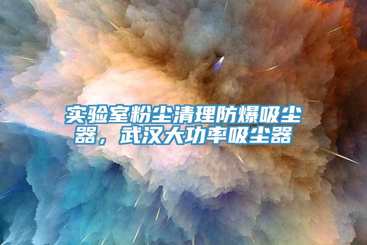 實驗室粉塵清理防爆吸塵器，武漢大功率吸塵器