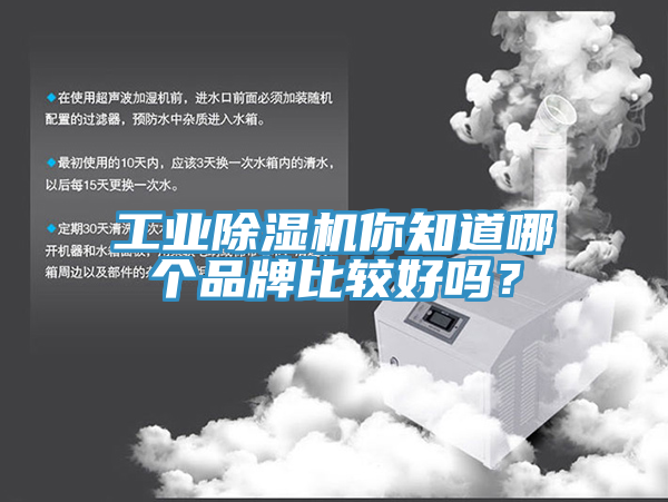 工業香蕉视频国产你知道哪個品牌比較好嗎？