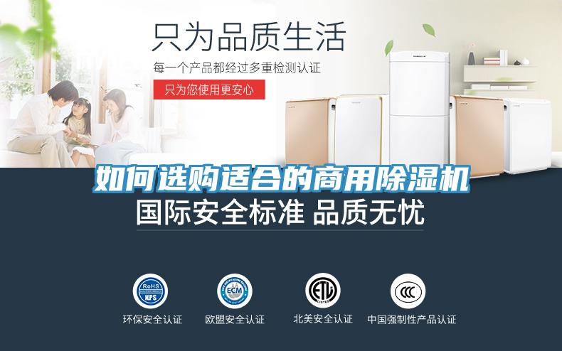 如何選購適合的商用香蕉视频国产