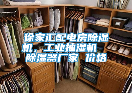 徐家匯配電房香蕉视频国产，工業抽濕機  除濕器廠家 價格