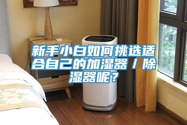 新手小白如何挑選適合自己的加濕器／除濕器呢？
