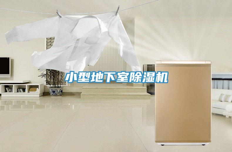 小型地下室香蕉视频国产