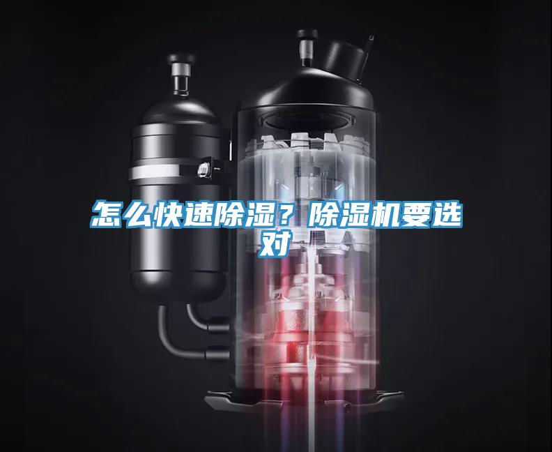 怎麽快速除濕？香蕉视频国产要選對