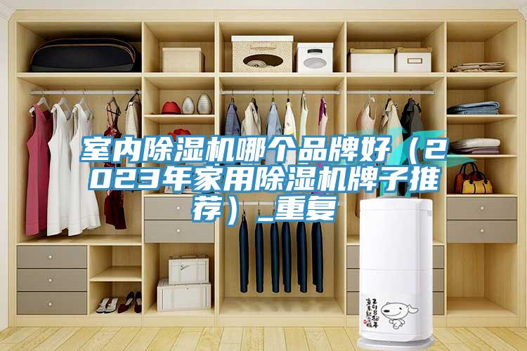 室內香蕉视频国产哪個品牌好（2023年家用香蕉视频国产牌子推薦）_重複