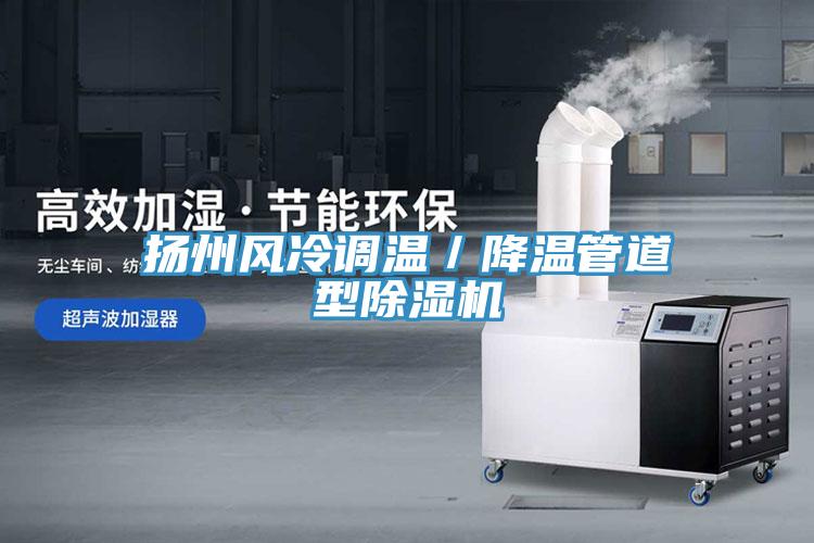 揚州風冷調溫／降溫管道型香蕉视频国产