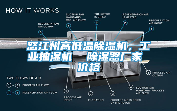 怒江州高低溫香蕉视频国产，工業抽濕機  除濕器廠家 價格