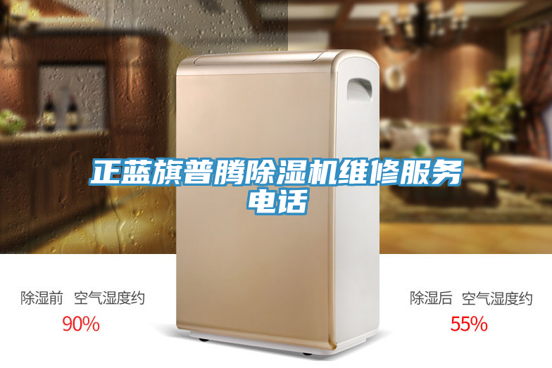 正藍旗普騰香蕉视频国产維修服務電話
