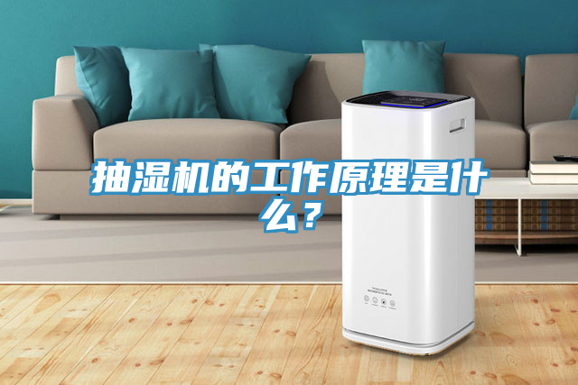 抽濕機的工作原理是什麽？