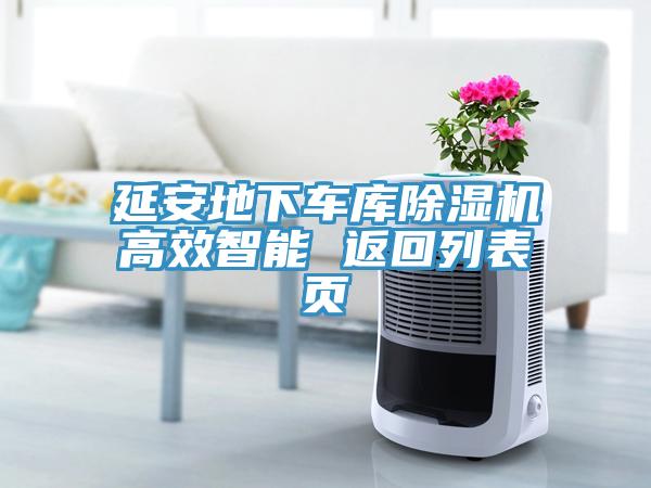 延安地下車庫香蕉视频国产高效智能 返回列表頁