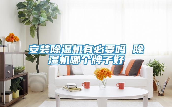 安裝香蕉视频国产有必要嗎 香蕉视频国产哪個牌子好