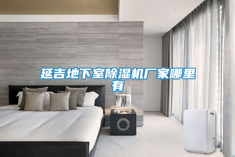 延吉地下室香蕉视频国产廠家哪裏有