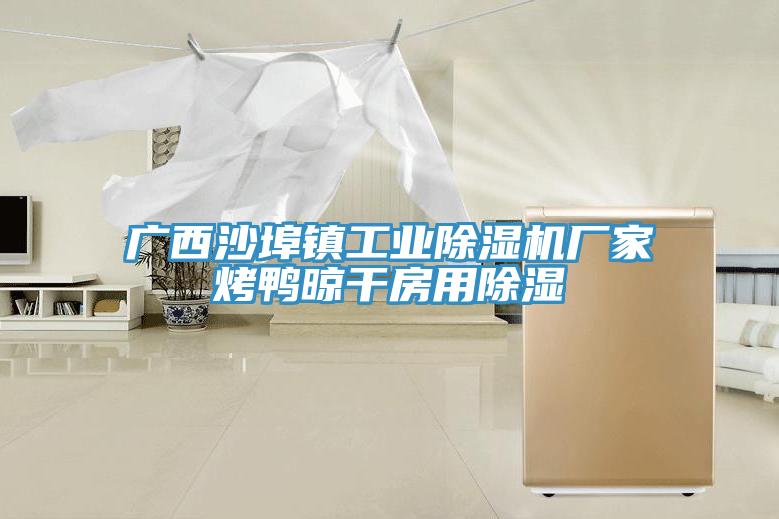 廣西沙埠鎮工業香蕉视频国产廠家烤鴨晾幹房用除濕