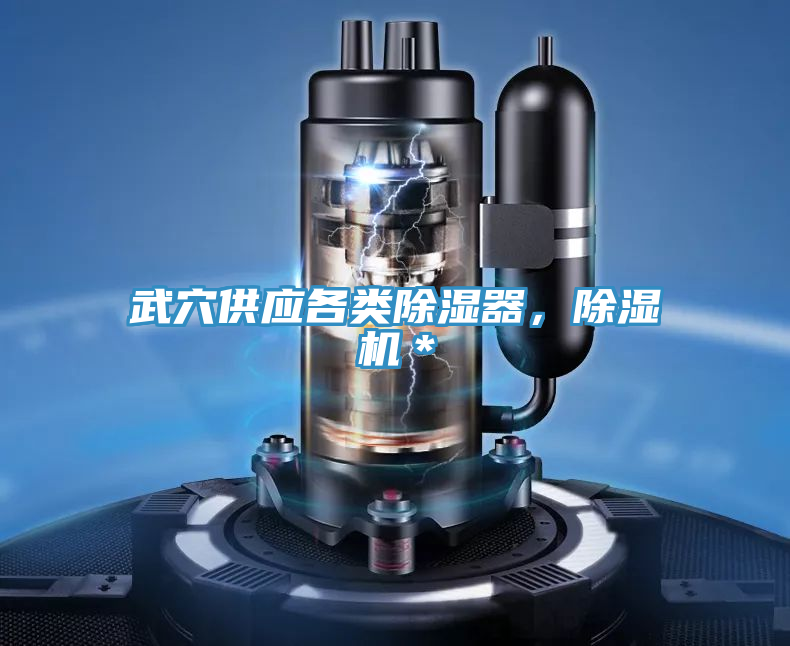 武穴供應各類除濕器，香蕉视频国产＊