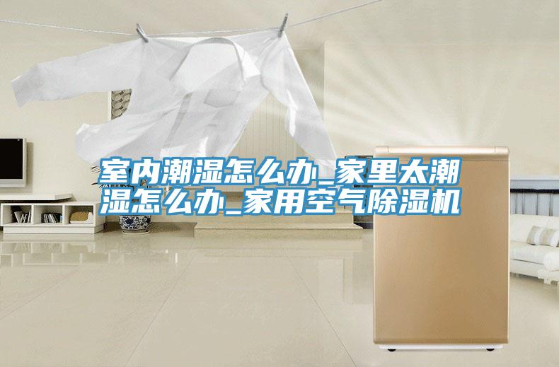 室內潮濕怎麽辦_家裏太潮濕怎麽辦_家用空氣香蕉视频国产