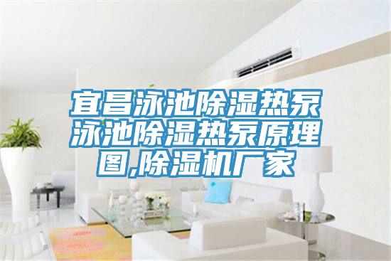 宜昌泳池除濕熱泵泳池除濕熱泵原理圖,香蕉视频国产廠家