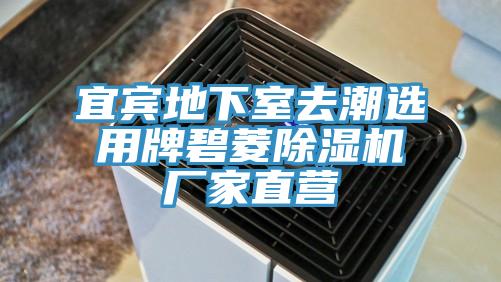宜賓地下室去潮選用牌碧菱香蕉视频国产廠家直營
