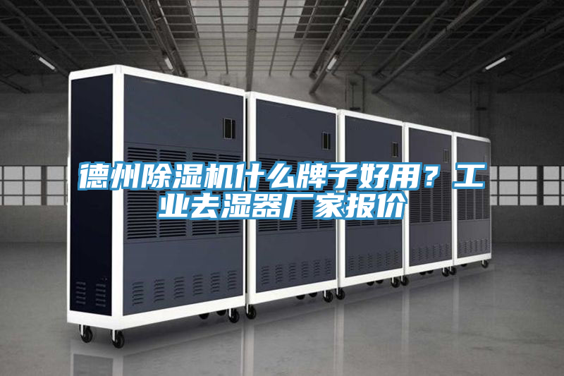 德州香蕉视频国产什麽牌子好用？工業去濕器廠家報價