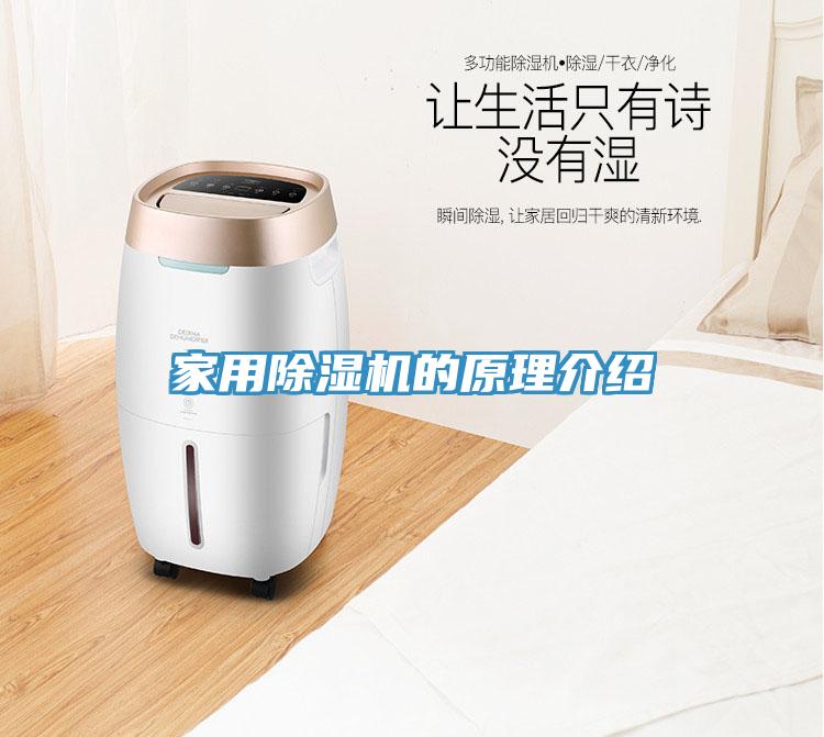 家用香蕉视频国产的原理介紹