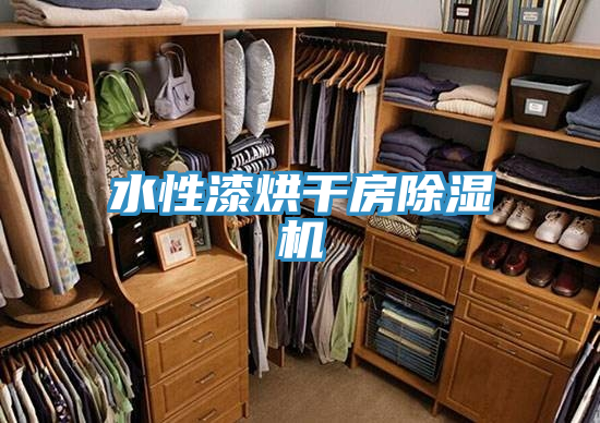 水性漆烘幹房香蕉视频国产