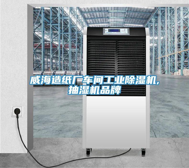 威海造紙廠車間工業香蕉视频国产,抽濕機品牌