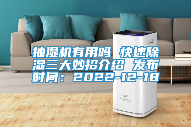 抽濕機有用嗎 快速除濕三大妙招介紹 發布時間：2022-12-18