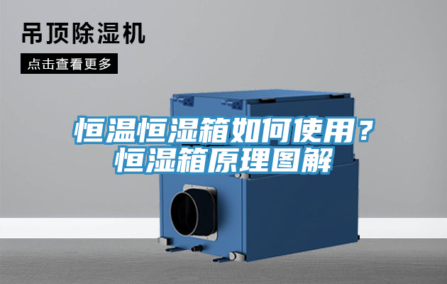 恒溫恒濕箱如何使用？恒濕箱原理圖解