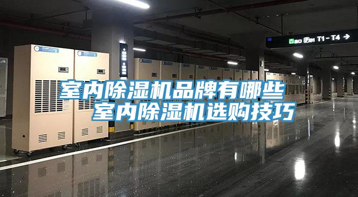 室內香蕉视频国产品牌有哪些   室內香蕉视频国产選購技巧