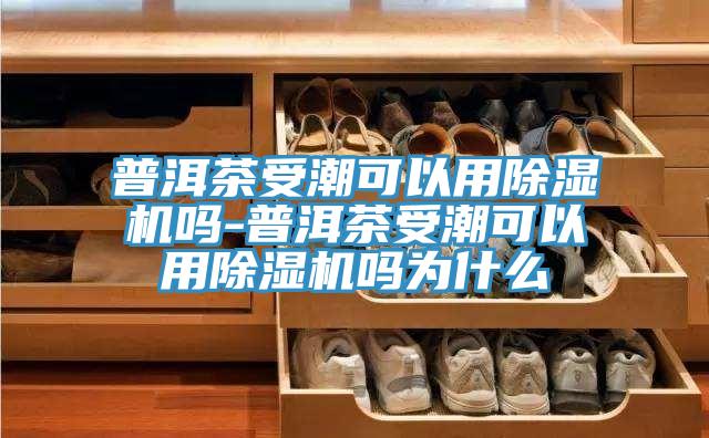 普洱茶受潮可以用香蕉视频国产嗎-普洱茶受潮可以用香蕉视频国产嗎為什麽