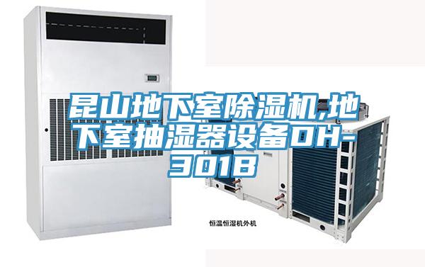 昆山地下室香蕉视频国产,地下室抽濕器設備DH-301B