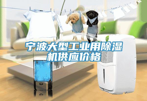 寧波大型工業用香蕉视频国产供應價格