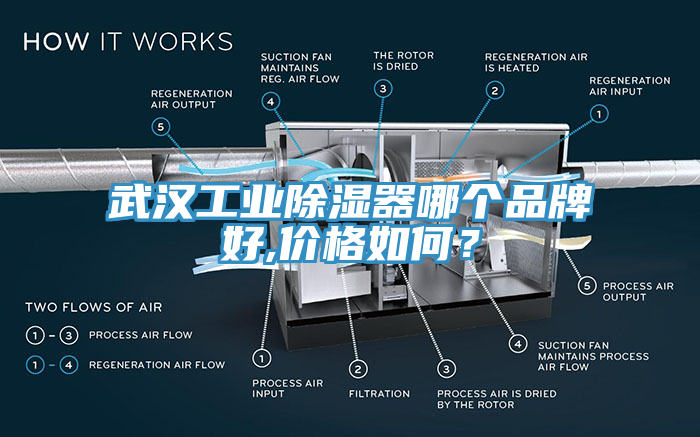武漢工業除濕器哪個品牌好,價格如何？