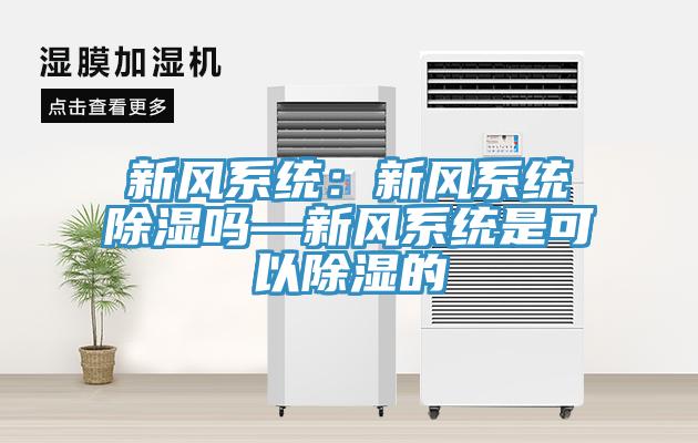 新風係統：新風係統除濕嗎—新風係統是可以除濕的