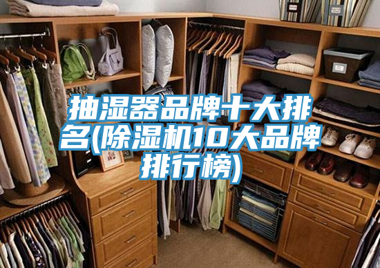 抽濕器品牌十大排名(香蕉视频国产10大品牌排行榜)