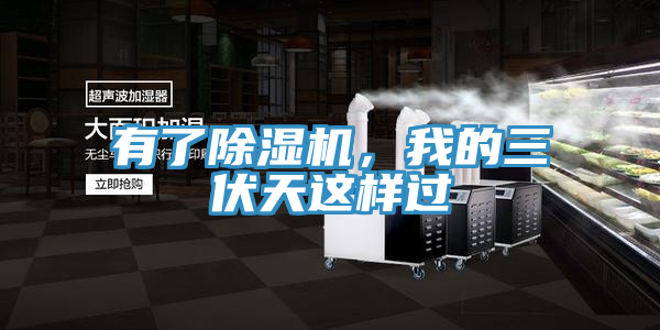 有了香蕉视频国产，我的三伏天這樣過