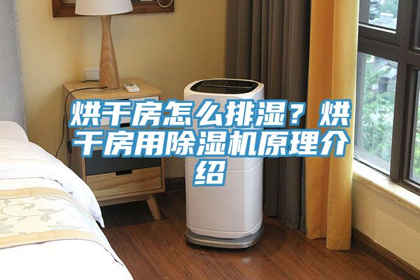 烘幹房怎麽排濕？烘幹房用香蕉视频国产原理介紹