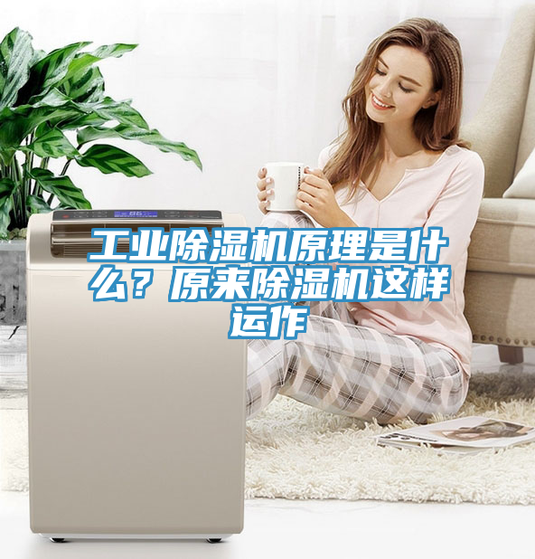 工業香蕉视频国产原理是什麽？原來香蕉视频国产這樣運作