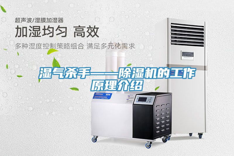 濕氣殺手——香蕉视频国产的工作原理介紹