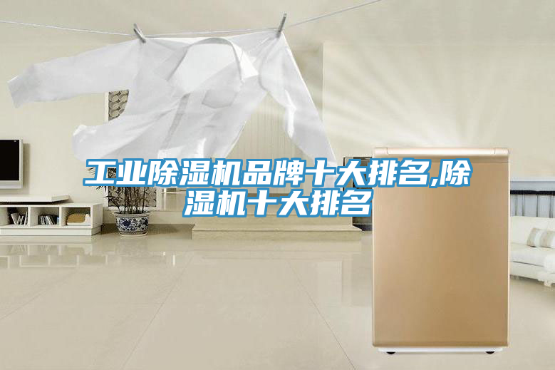 工業香蕉视频国产品牌十大排名,香蕉视频国产十大排名