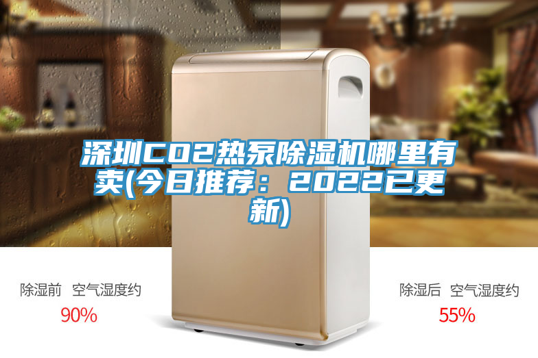 深圳CO2熱泵香蕉视频国产哪裏有賣(今日推薦：2022已更新)