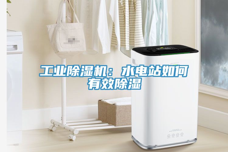 工業香蕉视频国产：水電站如何有效除濕