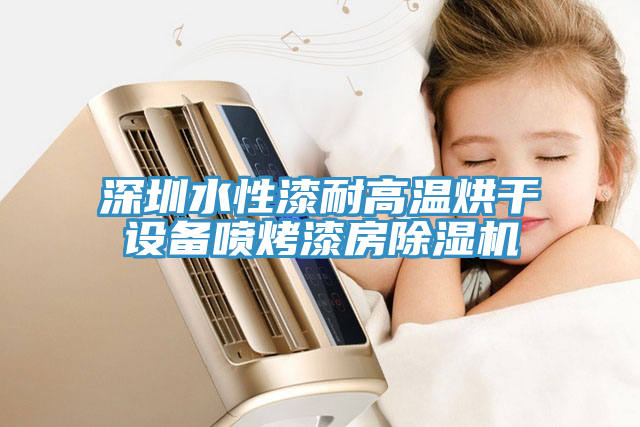 深圳水性漆耐高溫烘幹設備噴烤漆房香蕉视频国产