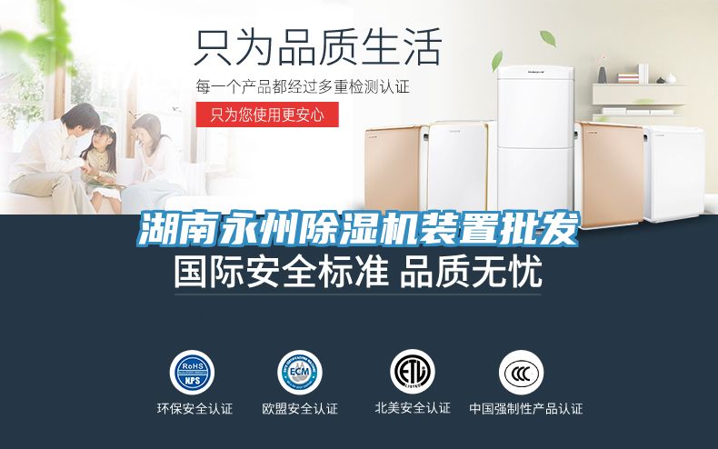 湖南永州香蕉视频国产裝置批發