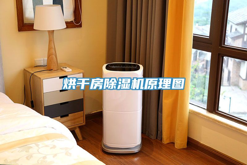 烘幹房香蕉视频国产原理圖