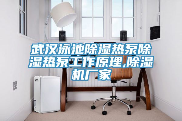 武漢泳池除濕熱泵除濕熱泵工作原理,香蕉视频国产廠家