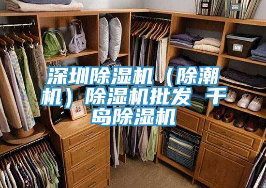 深圳香蕉视频国产（除潮機）香蕉视频国产批發 千島香蕉视频国产
